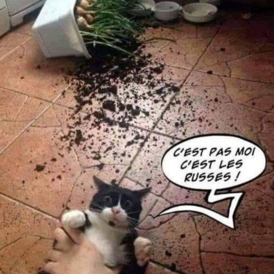 Toute ressemblance avec une personne connue est fortuite 😅