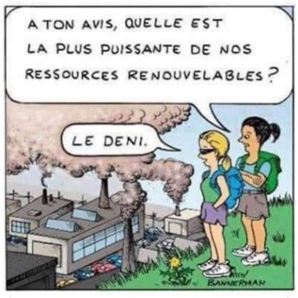 Quelle est notre ressource renouvelable la plus puissante?