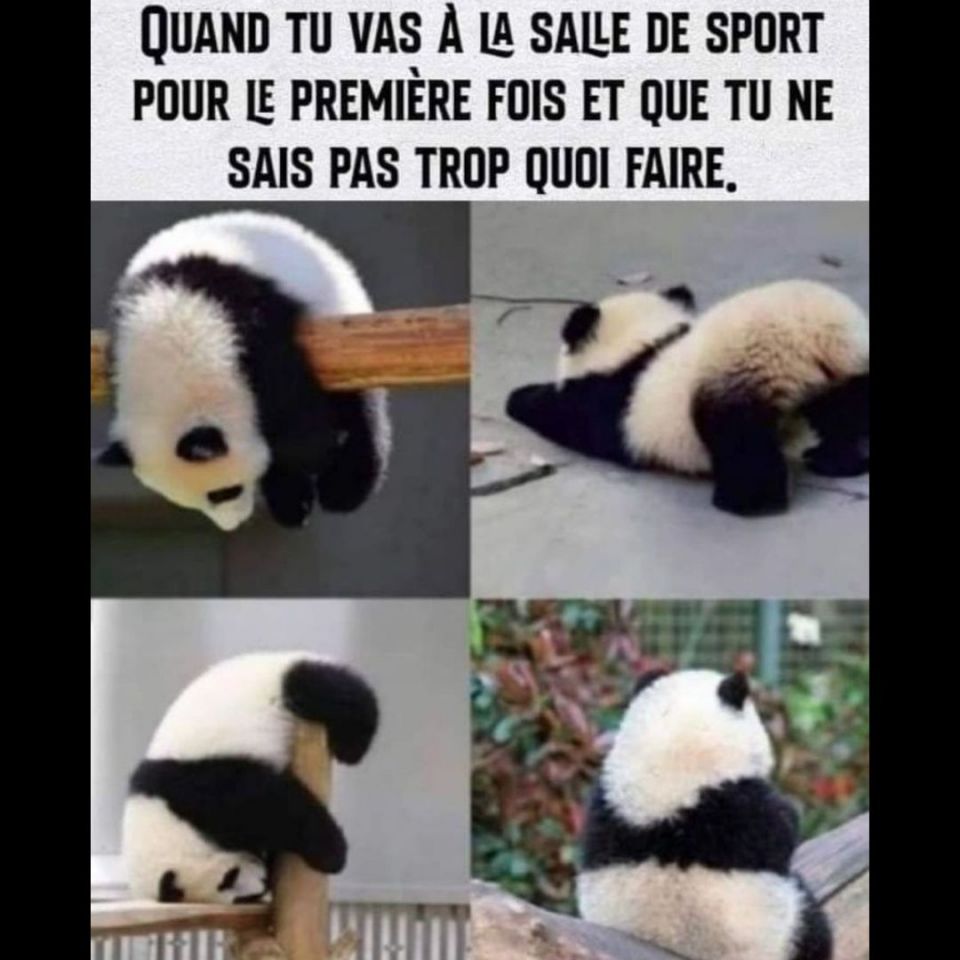 Je suis vraiment super sportive 😅