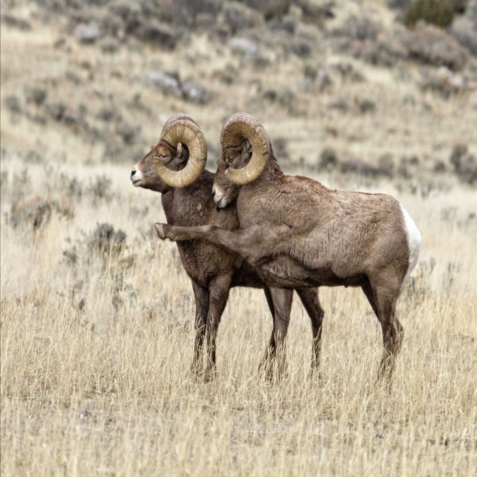 C'est ça, la liberté c'est bien par là 😊