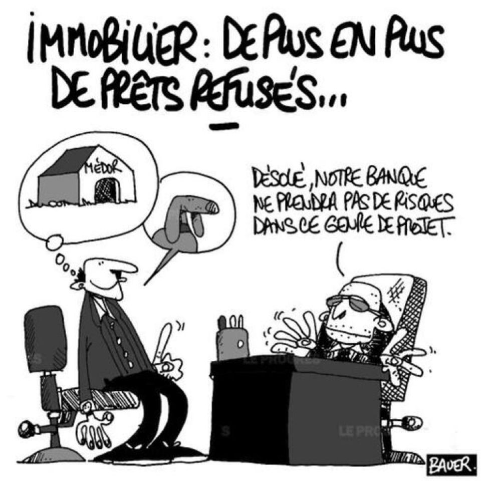 Capacité d'accès aux crédits restreinte : (