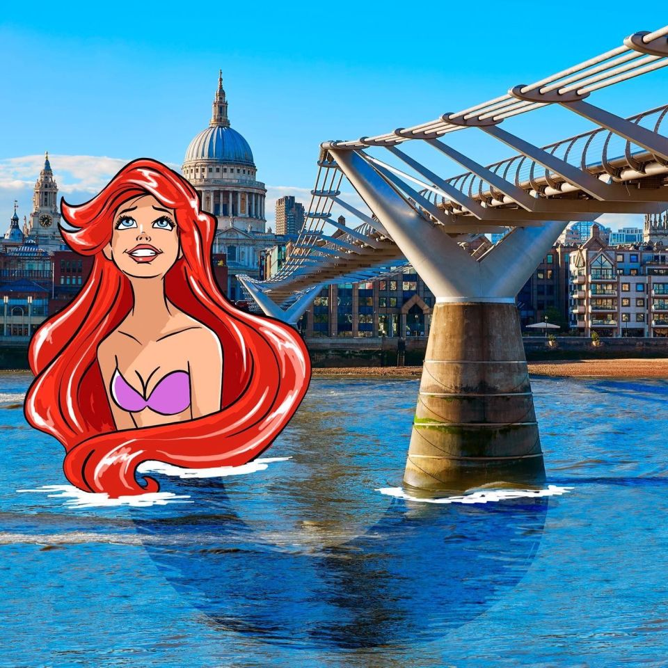 Ariel x Robin Yayla